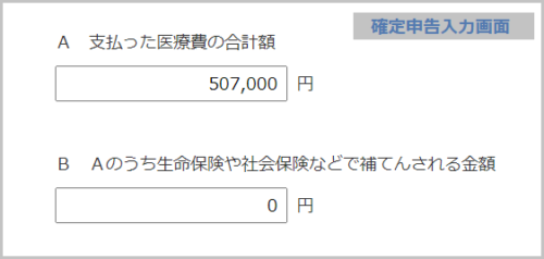 医療費控除確定申告入力画面