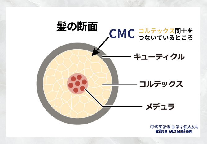 40代ヘアケア_CMC