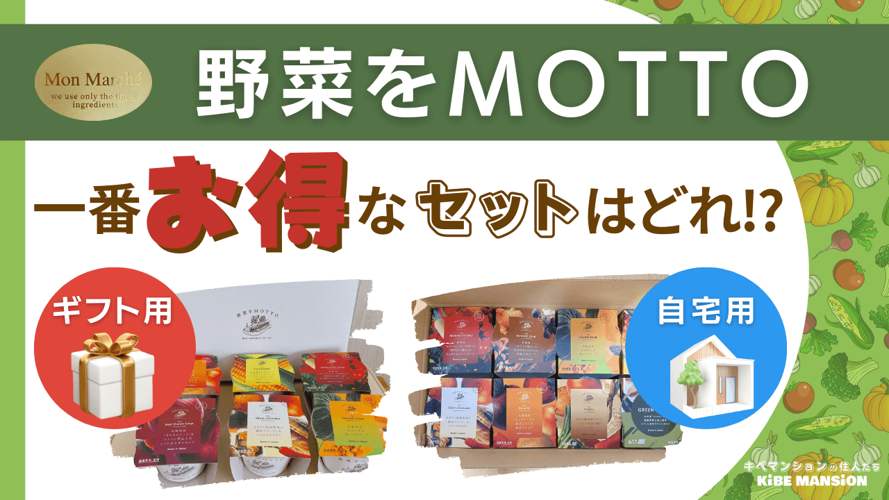 野菜をMOTTO一番お得なセットはどれ？